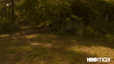 Appear Doom Patrol GIF by HBO Max