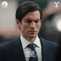 Paramount Network Yes GIF by Yellowstone