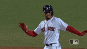 World Series Sport GIF by MLB
