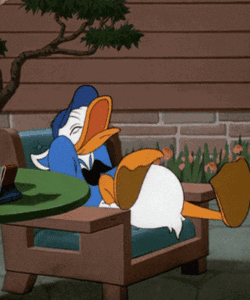 Disney gif. Donald Duck throws himself back in his chair in jubilant laughter. He holds onto his feet in myrth.