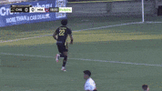 South Carolina Soccer GIF by Charleston Battery