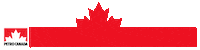 Ski Athlete Sticker by PetroCanada