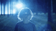 TheAvenue_Film fantasy florida tiger zoo GIF