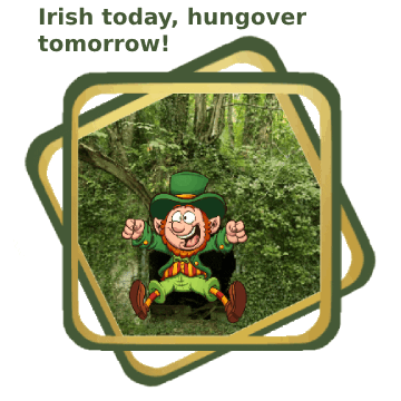 St Patricks Day Fantasy GIF
