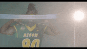 North Dakota State Bison GIF by NDSU Athletics
