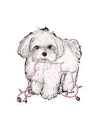 Merry Christmas Dog Sticker