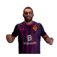 Football Soccer Sticker by FC Basel 1893