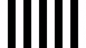 Goal Tor GIF by SK Sturm Graz