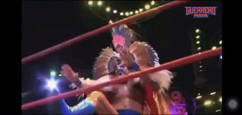 Vamos Lucha Libre GIF by Guerrero Maya