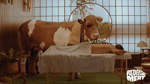 Cow Help GIF by Redefine Meat