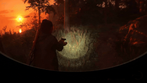 aleksandradaniel giphyupload GIF