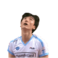 Heading Korean Air Sticker by kovopr