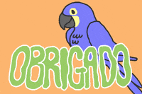 Ty Thank You GIF