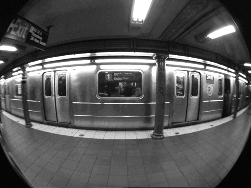 black and white nyc GIF