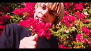 Flowers Yes GIF by iLOVEFRiDAY