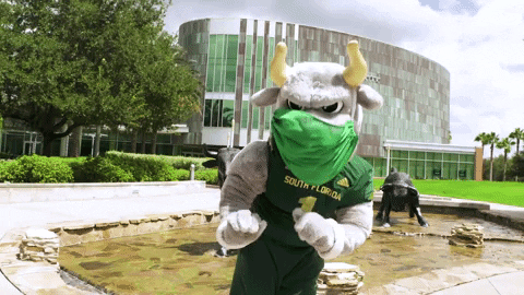 Mascot Facemask GIF by University of South Florida