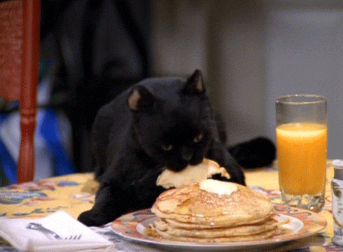 Are You Going To Eat That Good Morning GIF