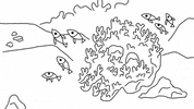 ScarlettMinz shadow reef fishes hideout GIF