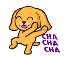 Cha Cha Cha Dancing GIF by MyMorningDog