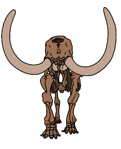 Natural History Education Sticker by American Museum of Natural History