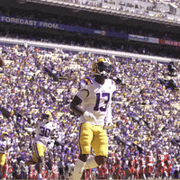 Death Valley Win GIF by LSU Tigers
