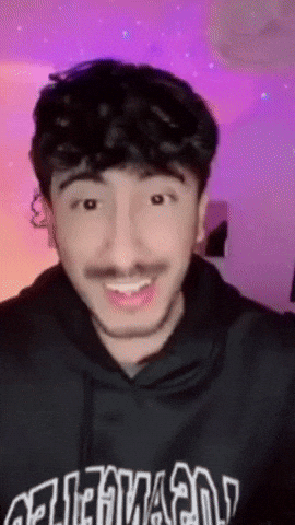 No Way Aladdin GIF