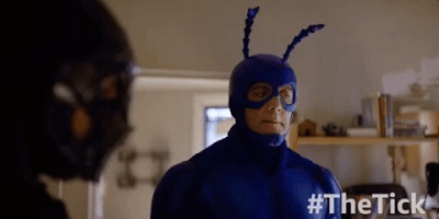 season 1 GIF by The Tick