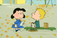 Youre Not Elected Charlie Brown GIF by Peanuts