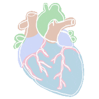 art_scalpel human medicine anatomy medical student Sticker