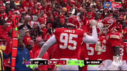 National Football League GIF by NFL