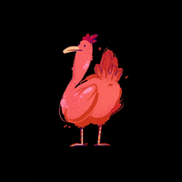 Ohredapples animal chicken farm koko GIF