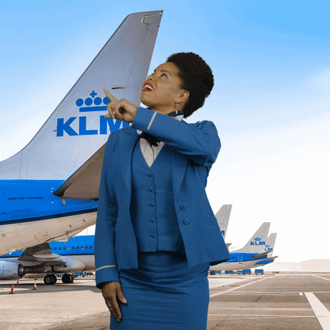 Royal Dutch Airlines Travel GIF by KLM