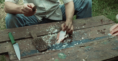 I Have No Desire To Go Anywhere