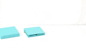 storage organization GIF by The Container Store