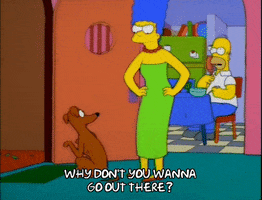 homer simpson GIF