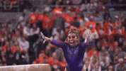 College Sports Sport GIF by LSU Tigers
