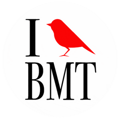Bird Texas Sticker by Visit Beaumont, TX