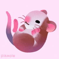 Mouse Grooming GIF by pikaole