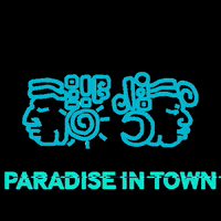 Tulumbar paradise goodvibes tulum tulumbar GIF
