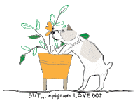 dog 댕댕이 epigram 에피그램 동경견 Sticker
