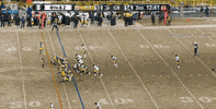 joe philbin thumb GIF