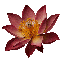 Flourishing Design Center Sticker by DTI Design Center of the Philippines