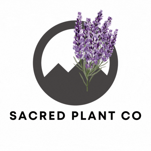SacredPlantCo giphyupload lavender herbs sacred plant co GIF