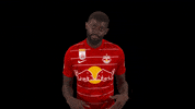 I Dont Know Red Bull GIF by FC Red Bull Salzburg