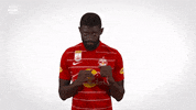 Red Bull Knockout GIF by FC Red Bull Salzburg