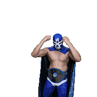 maskadorestacoshopaz wrestling wrestler lucha libre lucha Sticker