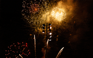 fourth of july fireworks GIF by hateplow
