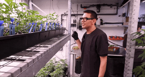 Bloom Andrew GIF by Exclusive Brands