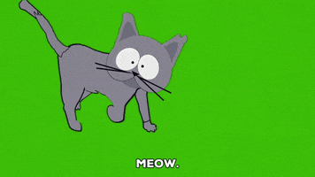 mr. kitty talking GIF by South Park 