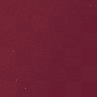 Woo Pig Sooie GIF by UARK NSFP